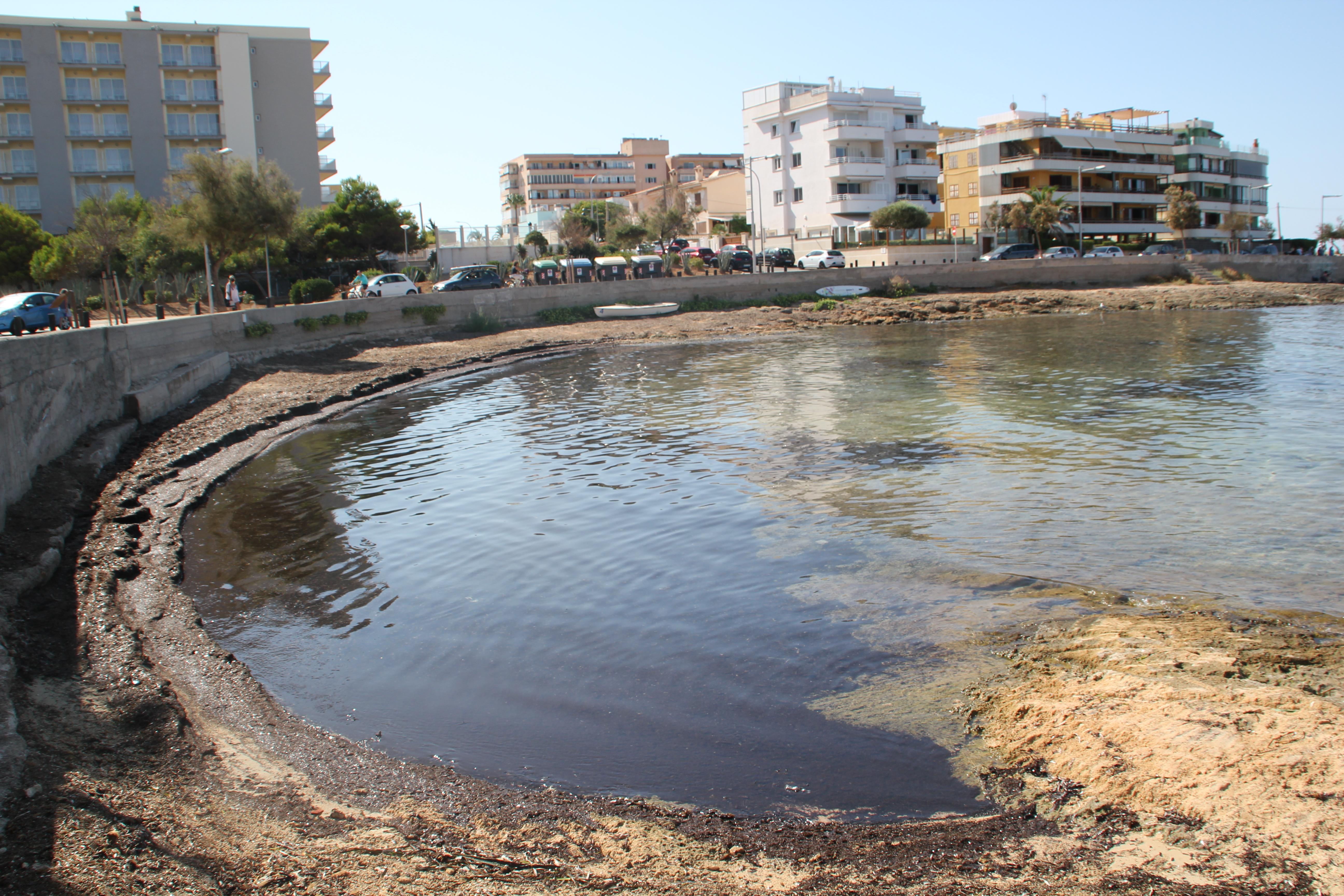 Calo de son Caios