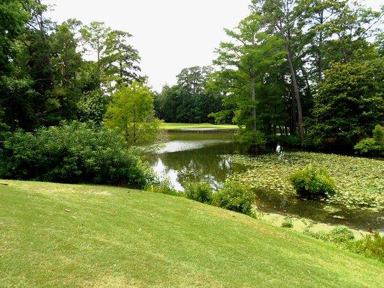 Cypress Point Country Club
