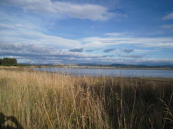 Ahuriri Estuary Walk