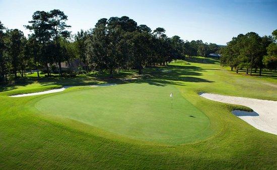 Ocala National Golf Club
