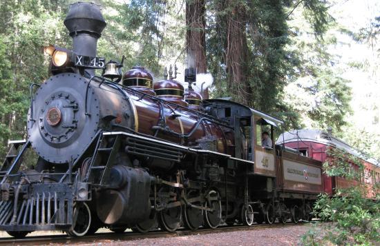 Skunk Train