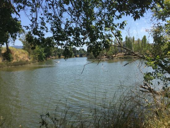 Oxbow Preserve