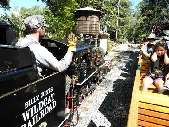 Billy Jones Wildcat Railroad