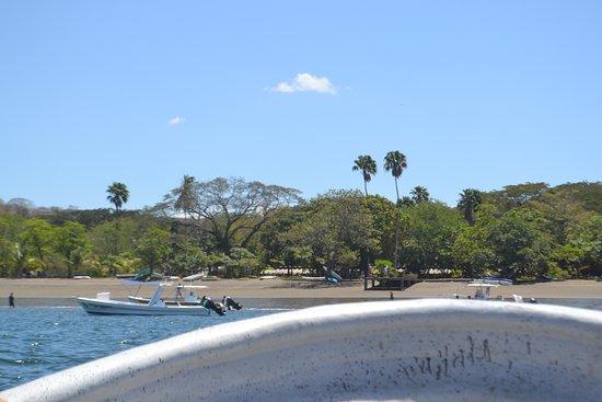 Coco Water Taxi