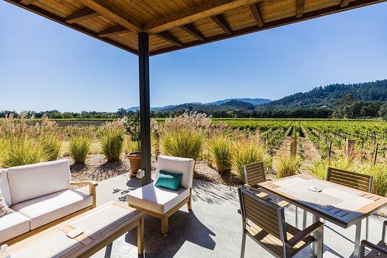 Titus Vineyards