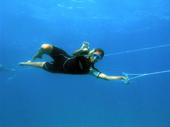 Under Sea Panama