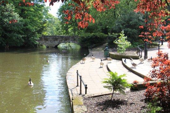Markeaton Park