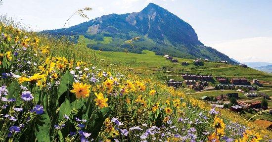 Crested Butte Mountain Resort