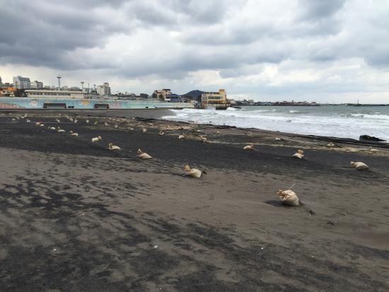 Black Sandy Beach of Samyang