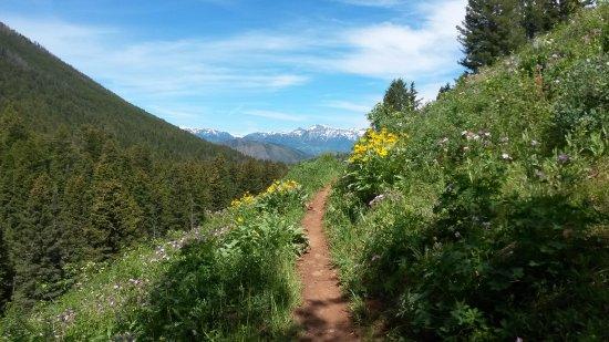 Cache Creek/Game Creek Loop