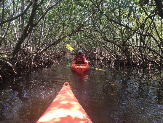Sweetwater Kayaks - Day Trips