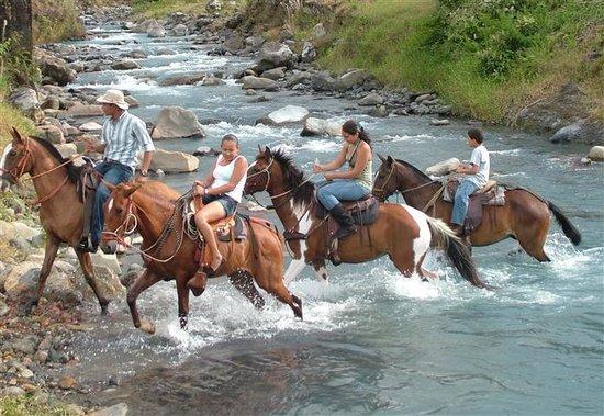 Blue River Hot Springs Eco-Adventure Tours