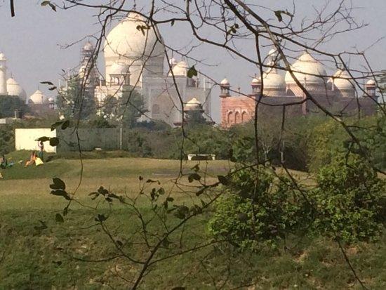 Taj Nature Walk