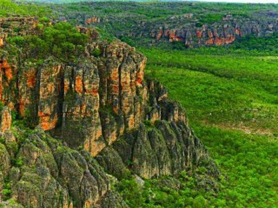 Skytour Air Safaris