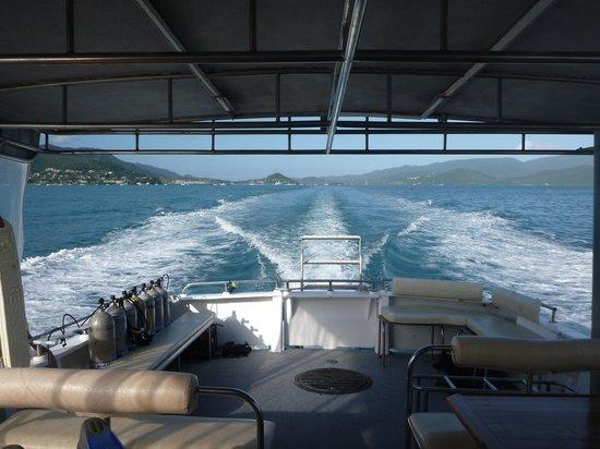 Whitsunday Dive Adventures - Dive Courses & Half Day Dive Trips