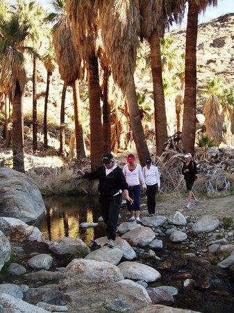 Trail Discovery Hiking Tours