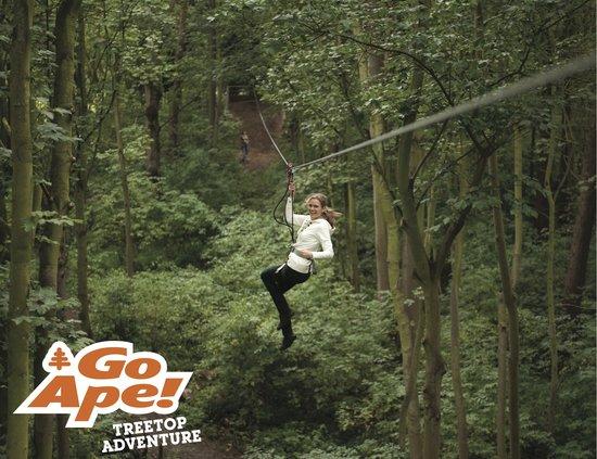 Go Ape Treetop Adventure Course