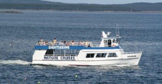 Acadian Nature Cruises