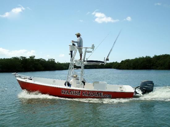 Spanish Sardine Fishing Charter