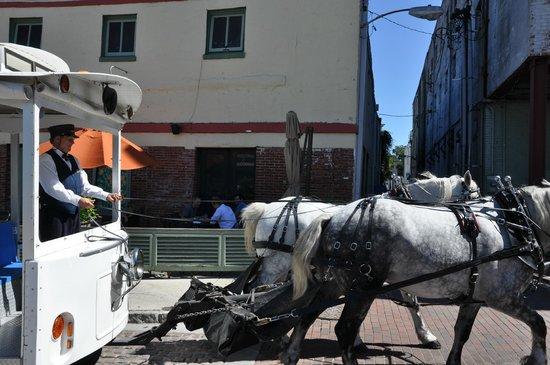 Springbrook Farms Horsedrawn Tours