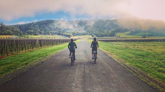 Sonoma Adventures