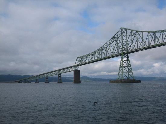 Columbia River Eco Tours