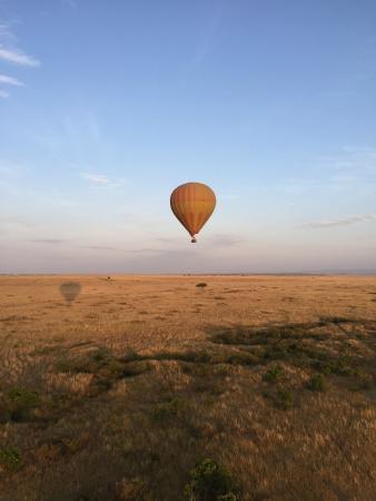 Balloon Safaris Ltd