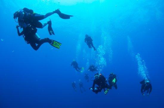 Splash Dive Shop