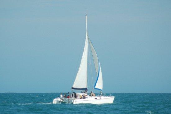 Daytripper Catamaran Charters