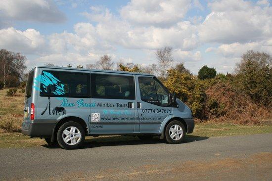 New Forest Minibus Tours
