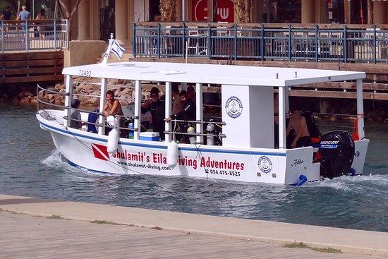 Shulamit's Eilat Diving Adventures