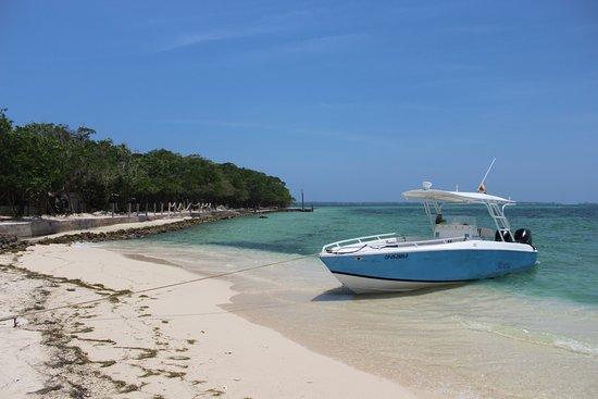 THalaSa Boat Trips