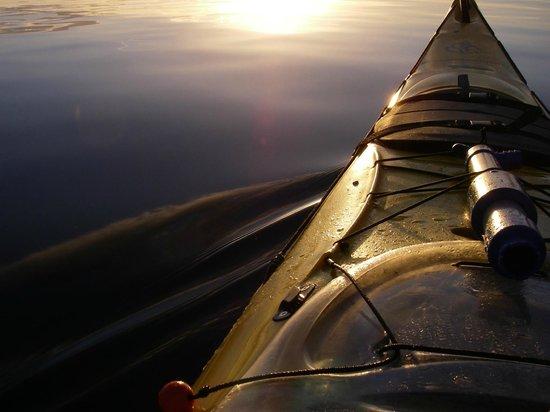 Taupo Kayaking Adventures