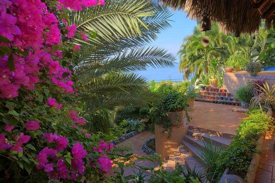 Ola Brisa Gardens