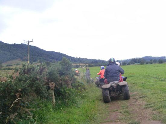 Madog Quads