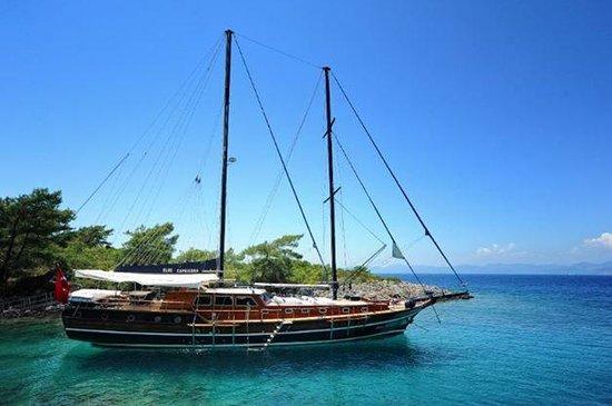 Albatros Yachting - Day Tours