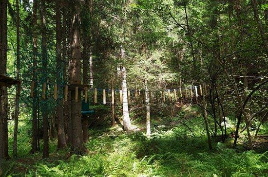 La Foret Magique