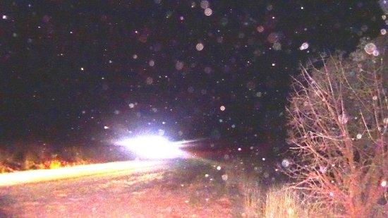 Sedona UFO & Vortex Tours