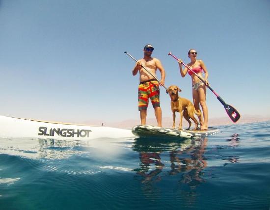 Surf Center