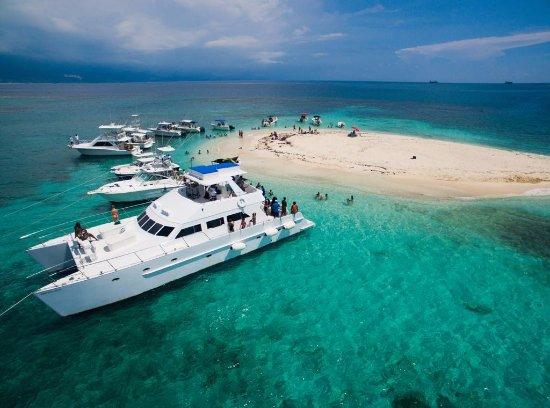 Loose Cannon Boat Charters and Tours Limited