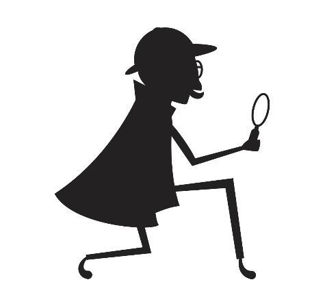 The Sleuth Box