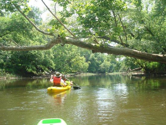 Paddle Creek