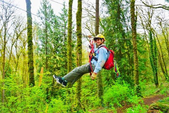Bellevue Zip Tour