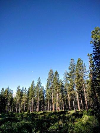 Phil's Trailhead