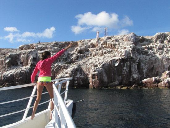 Baja Boat Adventures