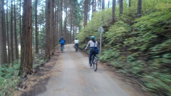 Hakone Mountain Ripper