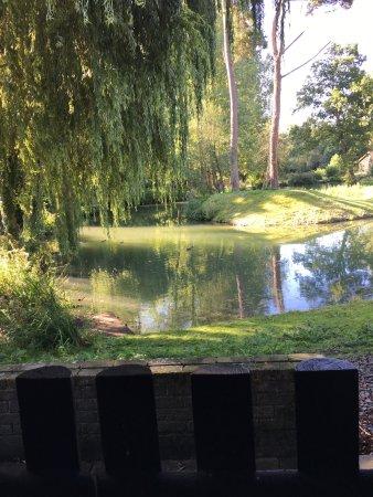 The Hunters Moon