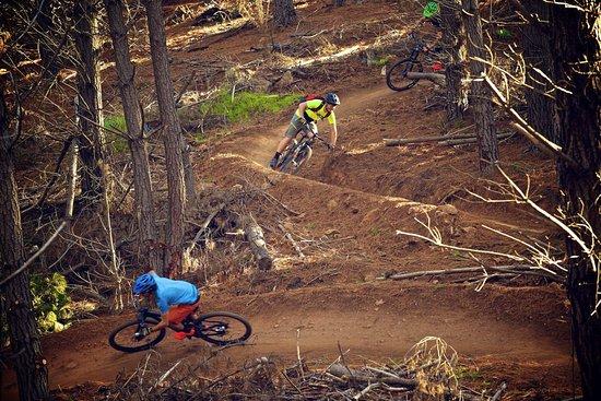 Majura Pines Mountain Bike Trails