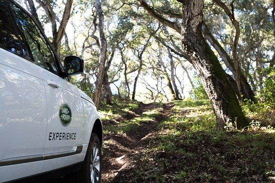 Land Rover Experience