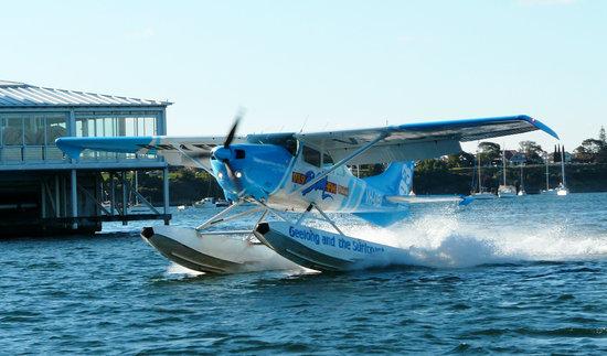 Bay City Seaplanes